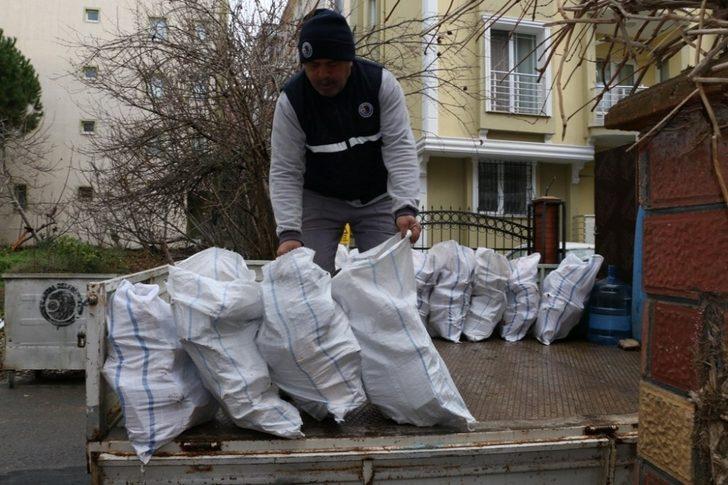 Budanan ağaçlardan elde edilen odunlar Kartallı Kudret teyzenin evini ısıtacak G5