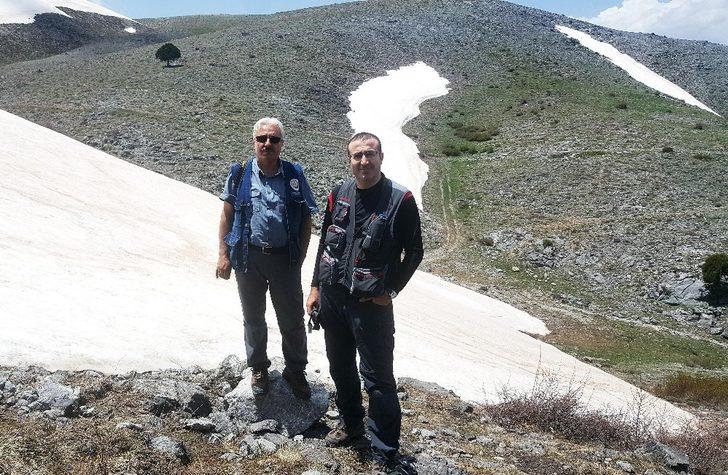 Dünyada sadece o ilimizde var! Denizli'de keşfedildi G4