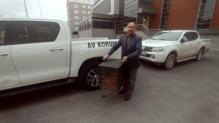 Yaralı atmaca tedavi altına alındı G2