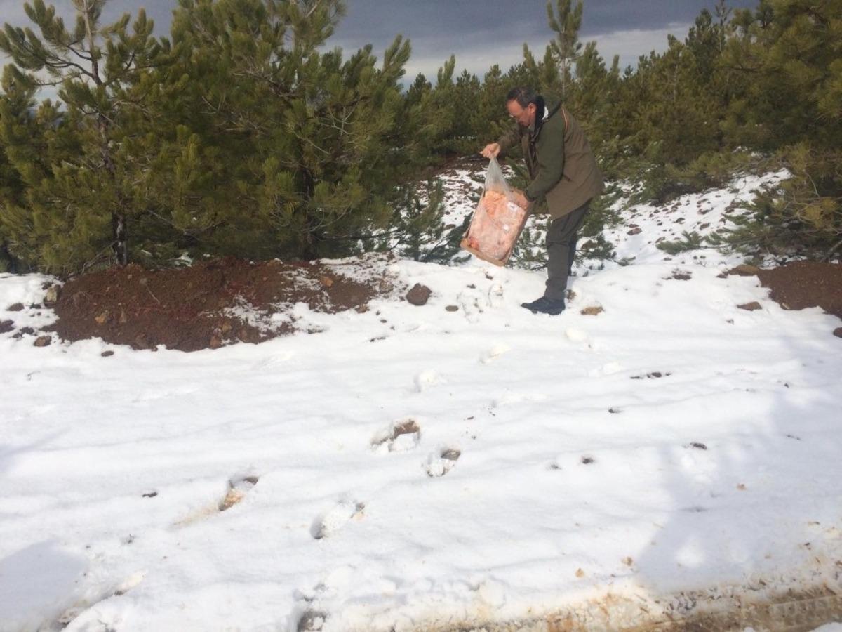 Yaban hayvanlarına yem bırakıldı