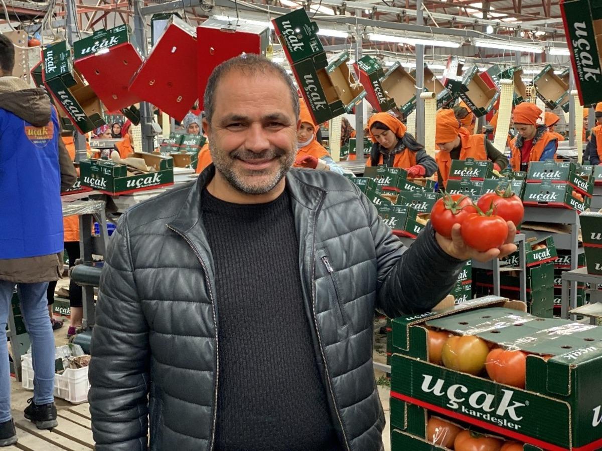 Domatesi arılar &uuml;retiyor, hormon s&ouml;ylentileri tarihe karışıyor