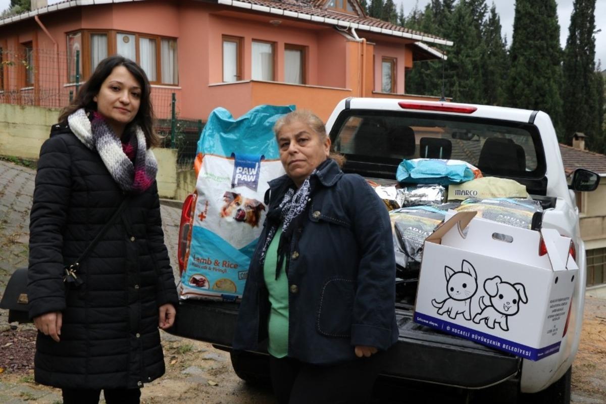 B&uuml;y&uuml;kşehir&rsquo;den STK&rsquo;lara mama desteği