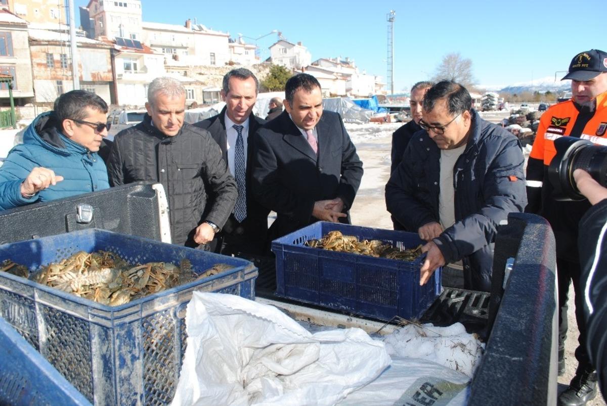Eğirdir G&ouml;l&uuml;&rsquo;nden ka&ccedil;ak avlanan bin 630 kilogram kerevit, t&ouml;renle g&ouml;le bırakıldı