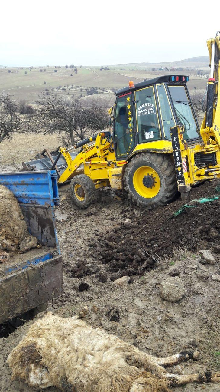 Elazığ'da 240 küçükbaş telef oldu, köy karantinaya alındı G4