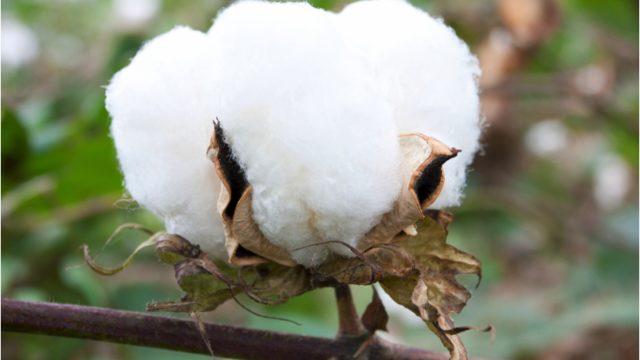 Çöp kutusu kokusu nasıl giderilir?