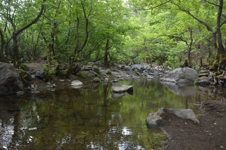 Uçansu Şelalesi keşfedilmeyi bekliyor G3