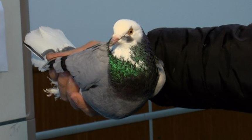 Otogarda gündem 'evcil hayvan' kararı: Mümkün değil