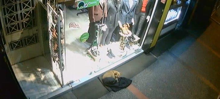 Balıkesir'de yürek ısıtan görüntü! Mağaza önünde üşüyen köpeğe montunu verdi G4