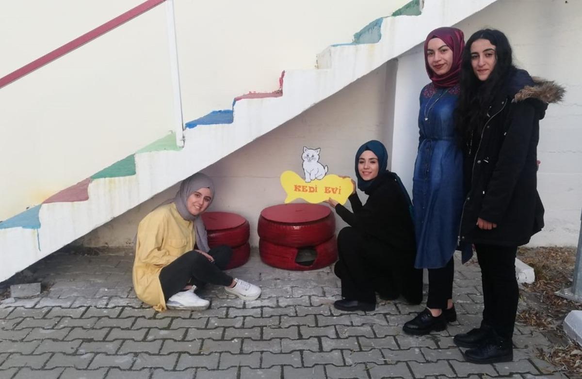 Hurda lastikler sokak kedilerine yuva oldu