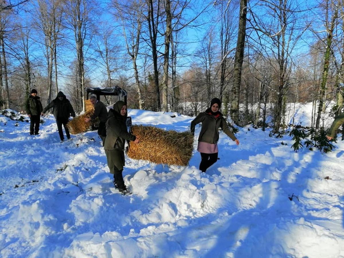 Yaban hayvanları yemlendi