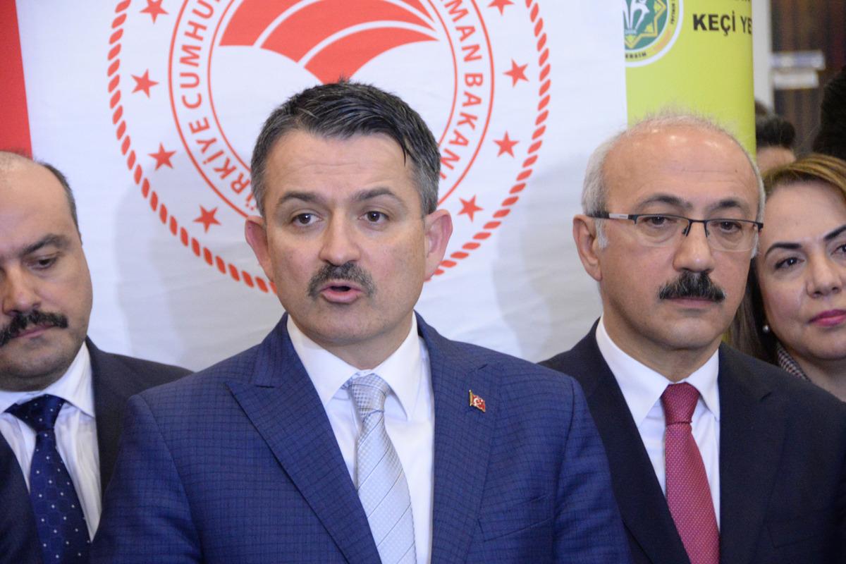 Bakan Pekdemirli: Kıbrıs isale hattında kopukluk g&ouml;zlemlendi