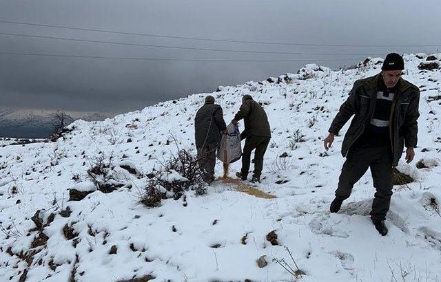 Elazığ’da yaban hayvanları için doğaya yem bırakıldı