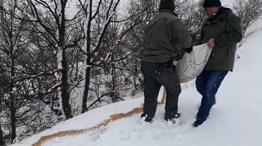 Elazığ&rsquo;da yaban hayvanları i&ccedil;in doğaya yem bırakıldı