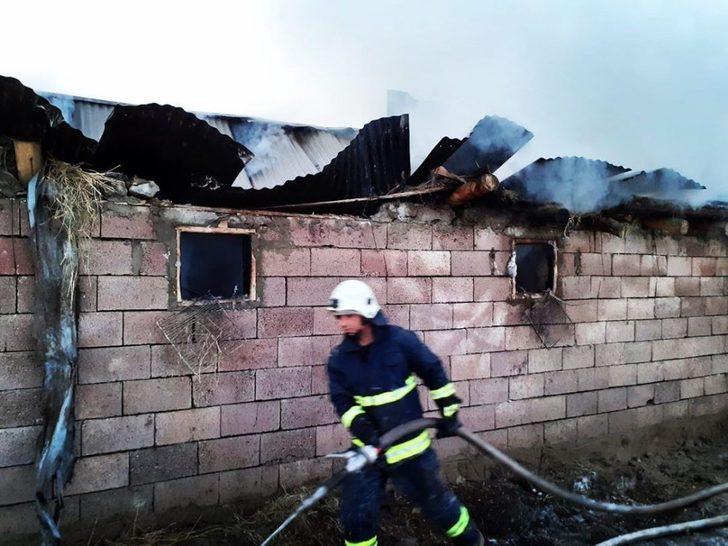 Muradiye’de odunluk yangını G1