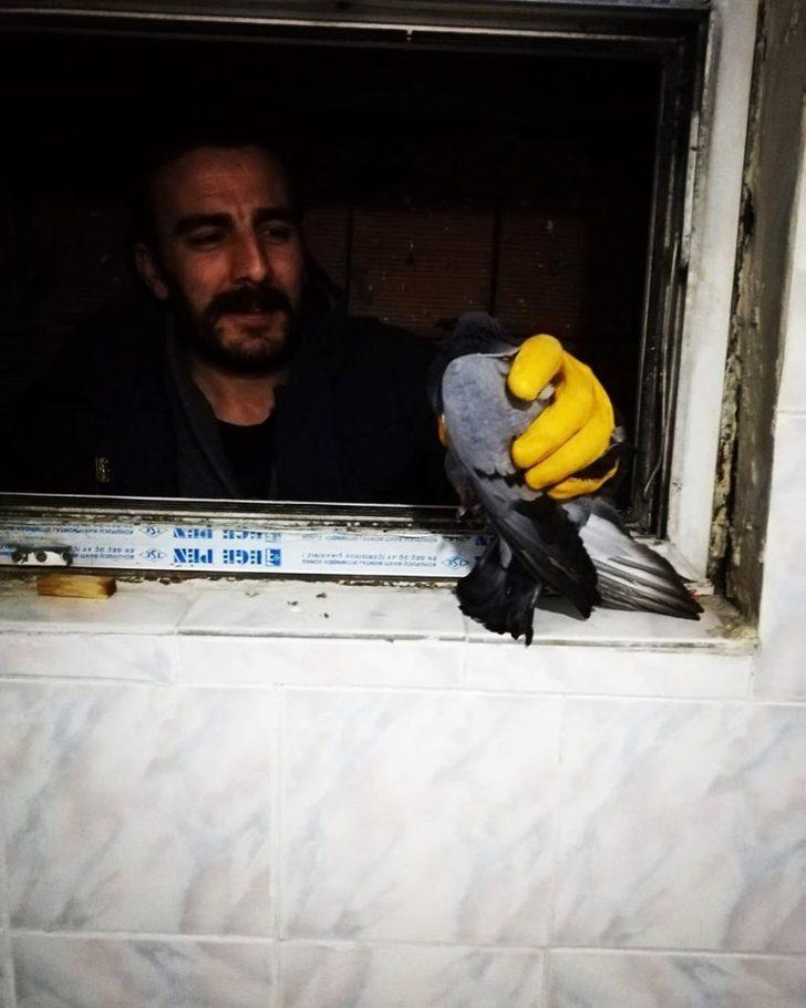 Havalandırma boşluğunda mahsur kalan güvercin itfaiye tarafından kurtarıldı G1