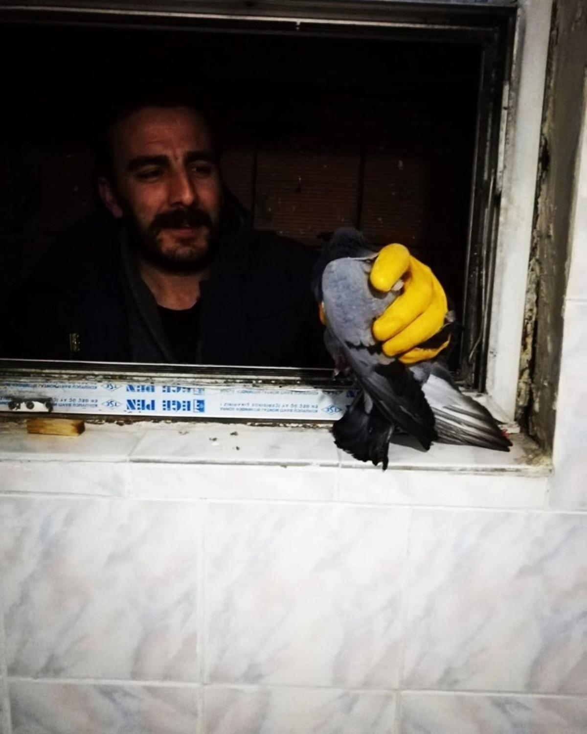 Havalandırma boşluğunda mahsur kalan g&uuml;vercin itfaiye tarafından kurtarıldı