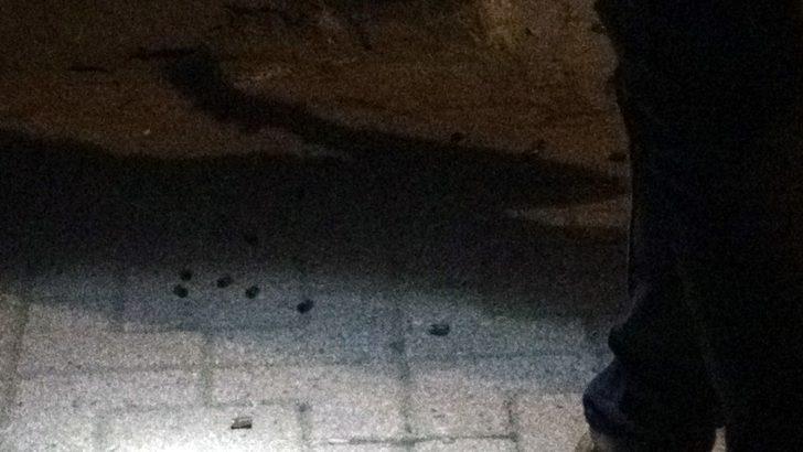 Diyarbakır'da çatışmanın ortasında kalan kişinin hayatını giydiği mont kurtardı! G5