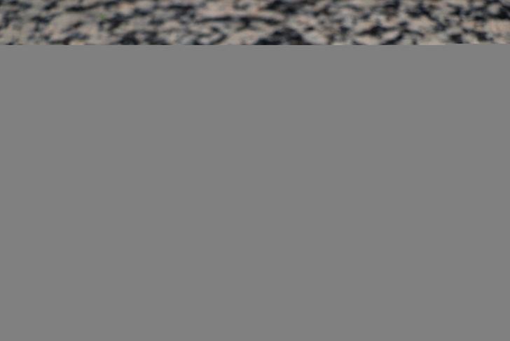 Tarsusluların vazgeçemediği lezzet: Humus G3