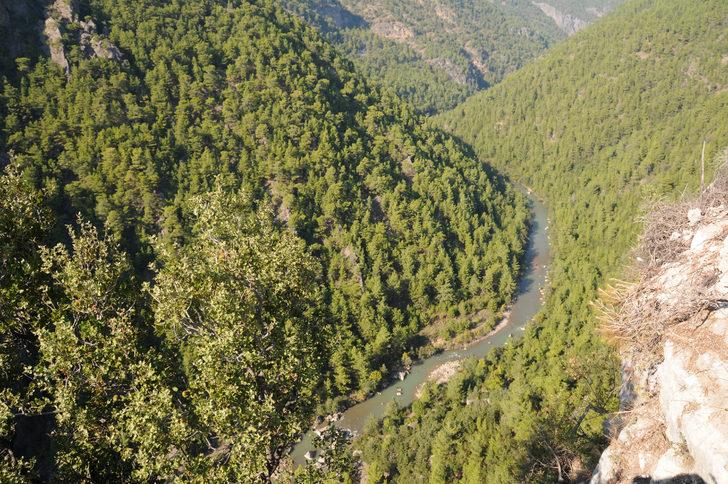 Antalya'da Alara Çayı üzerinde kurulacak HES'e Danıştay'dan iptal kararı G1