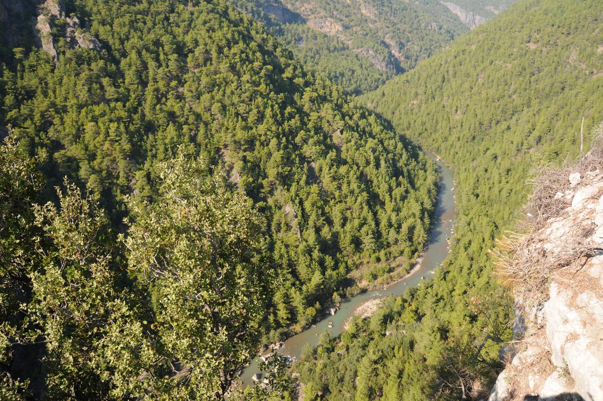 Antalya'da Alara &Ccedil;ayı &uuml;zerinde kurulacak HES'e Danıştay'dan iptal kararı