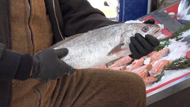 Padişahların vazgeçilmezi lüferin kilosu 120 lira G1