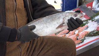 Padişahların vazgeçilmezi lüferin kilosu 120 lira