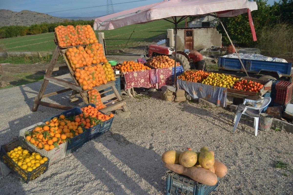 Adana&rsquo;dan hediyelik portakal