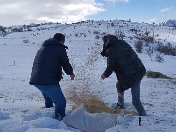 Malatya’da yaban hayvanları unutulmadı G2