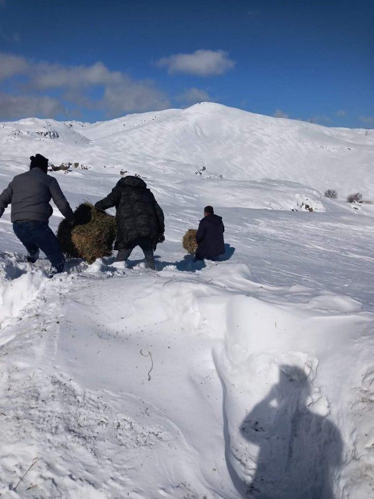 Malatya’da yaban hayvanları unutulmadı G3