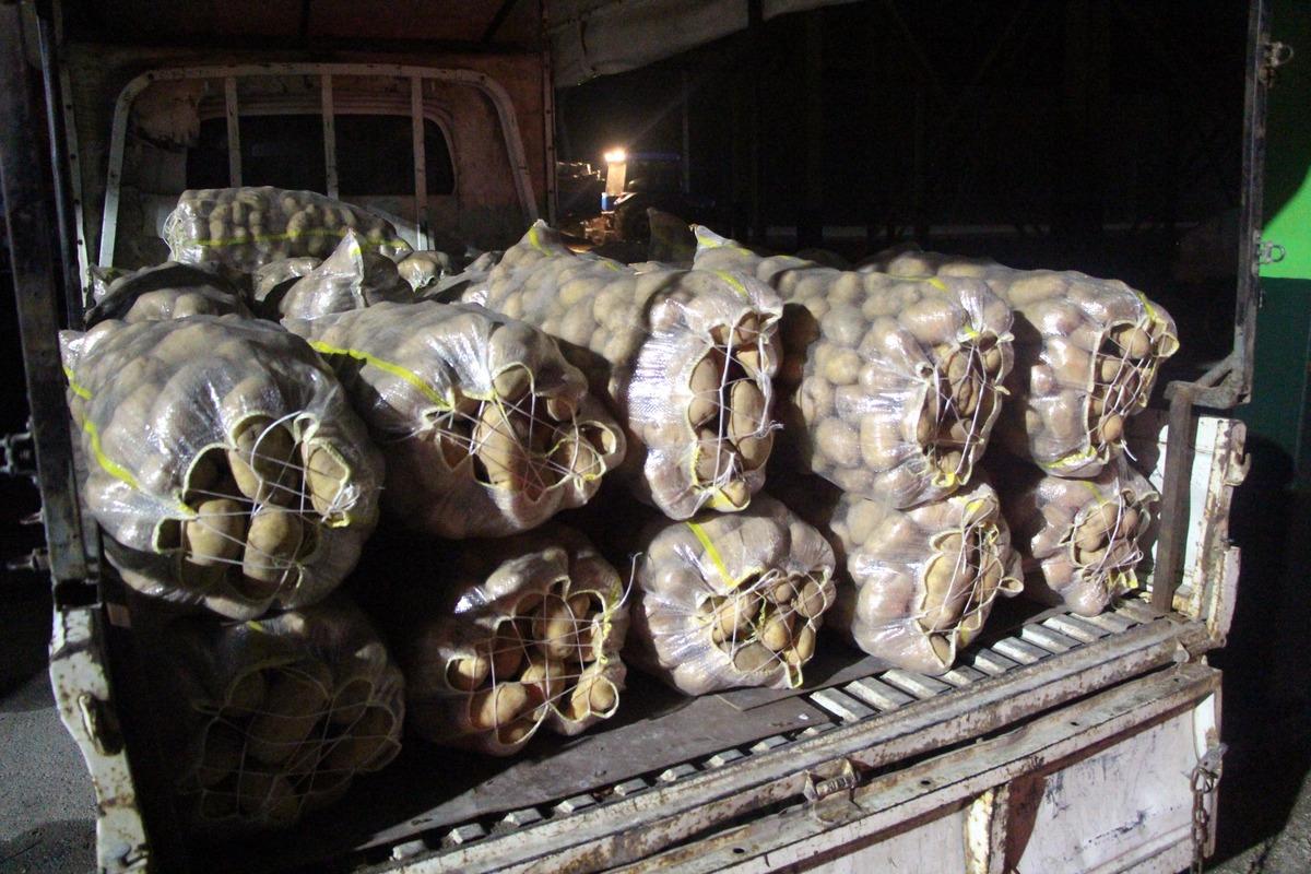 Bolu'da patates &uuml;reticileri fiyatların d&uuml;ş&uuml;k olmasından şikayet&ccedil;i