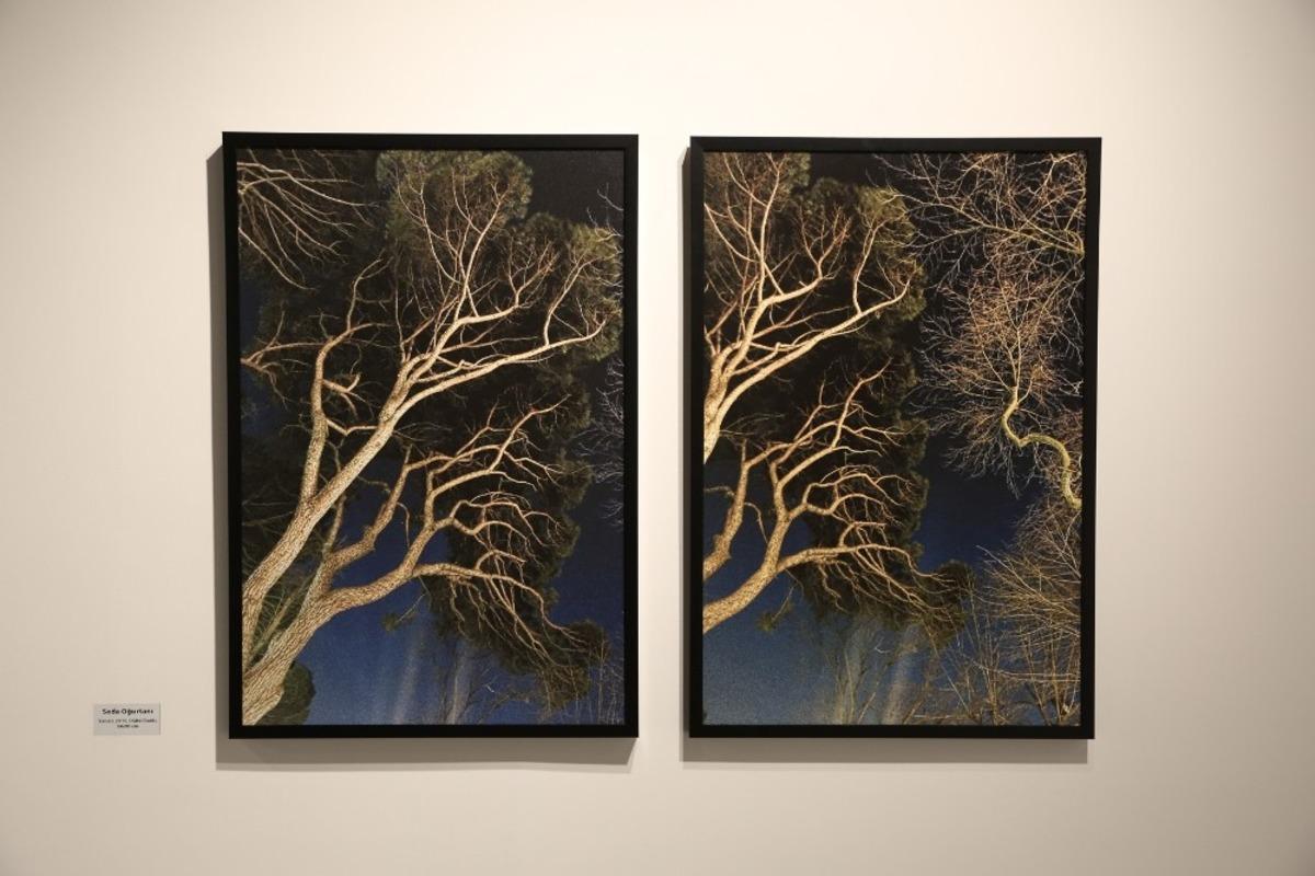 Doğayı sanata yansıttılar