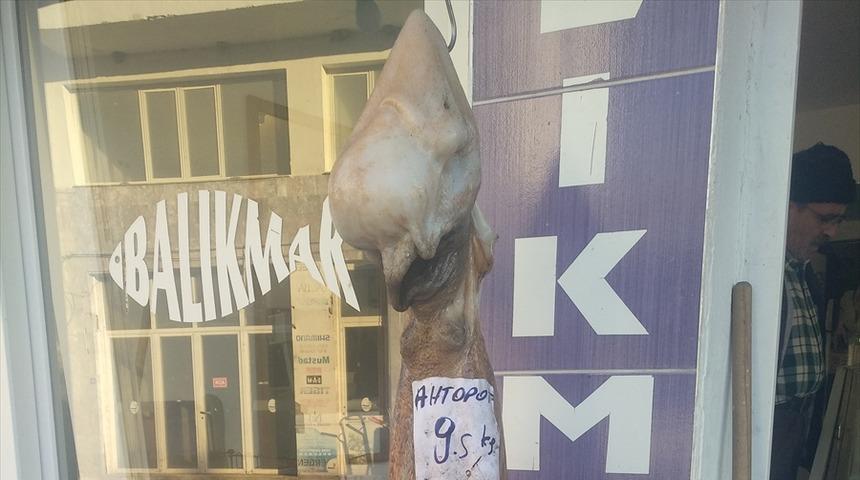 İzmir'de 9,5 kilogramlık ahtapota yoğun ilgi! 