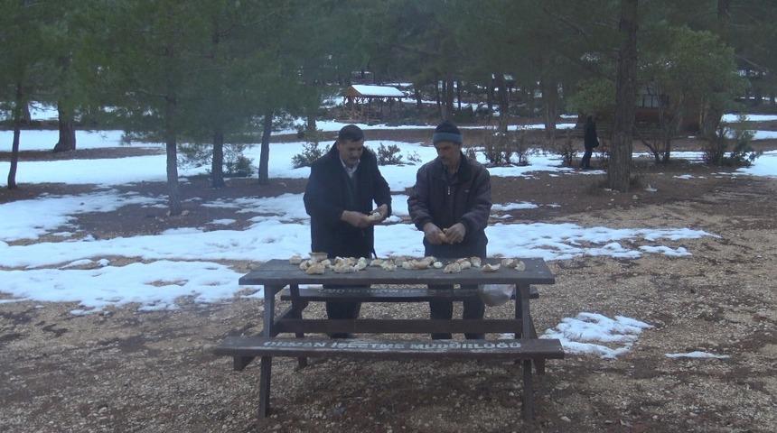 Muhtarlar, yaban hayvanları i&ccedil;in ormana yiyecek bıraktı