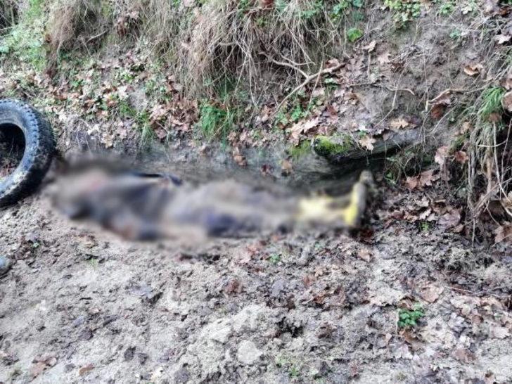 Çapraz sorgu sonrası her şeyi itiraf etti! Dehşete düşüren cinayet! G1