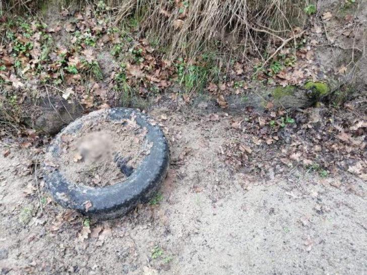 Çapraz sorgu sonrası her şeyi itiraf etti! Dehşete düşüren cinayet! G2