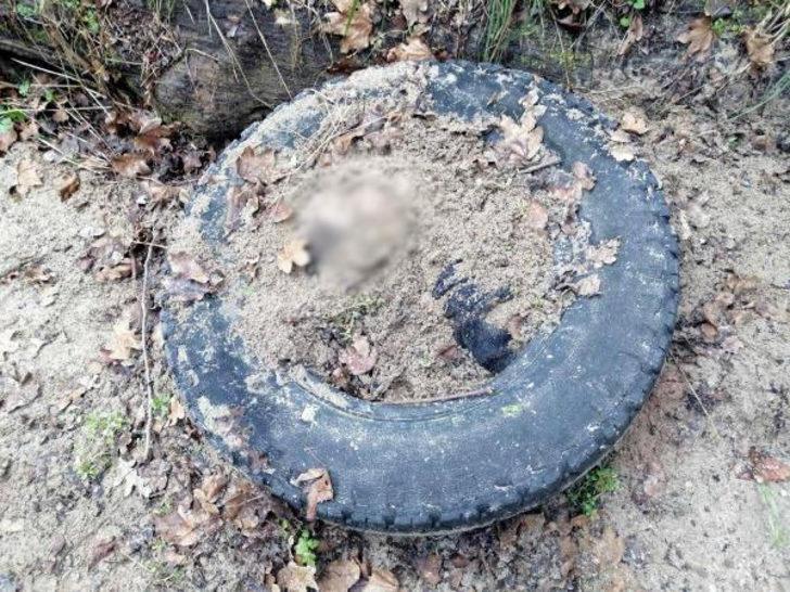 Çapraz sorgu sonrası her şeyi itiraf etti! Dehşete düşüren cinayet! G3