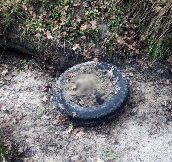 Çapraz sorgu sonrası her şeyi itiraf etti! Dehşete düşüren cinayet! G4