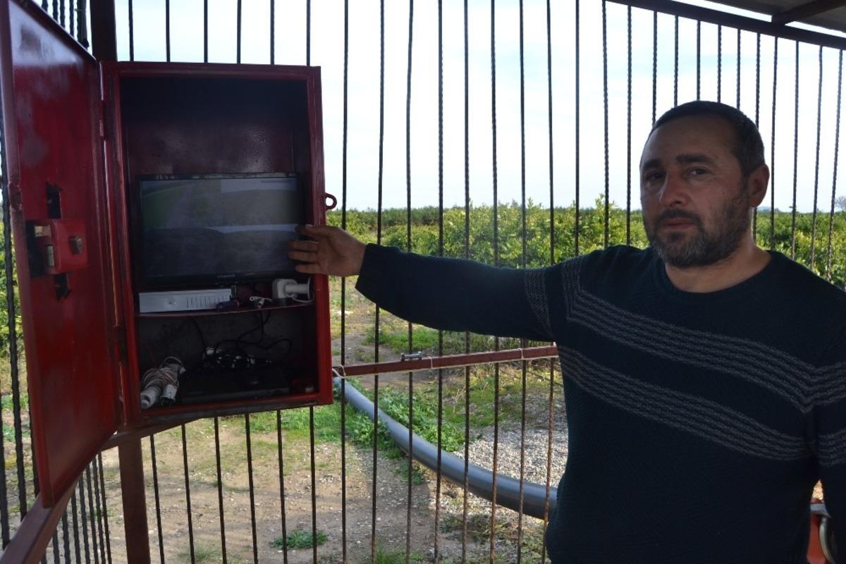 Narenciye hırsızlarına karşı bah&ccedil;e sahibinden g&uuml;venlik kameralı &ouml;nlem