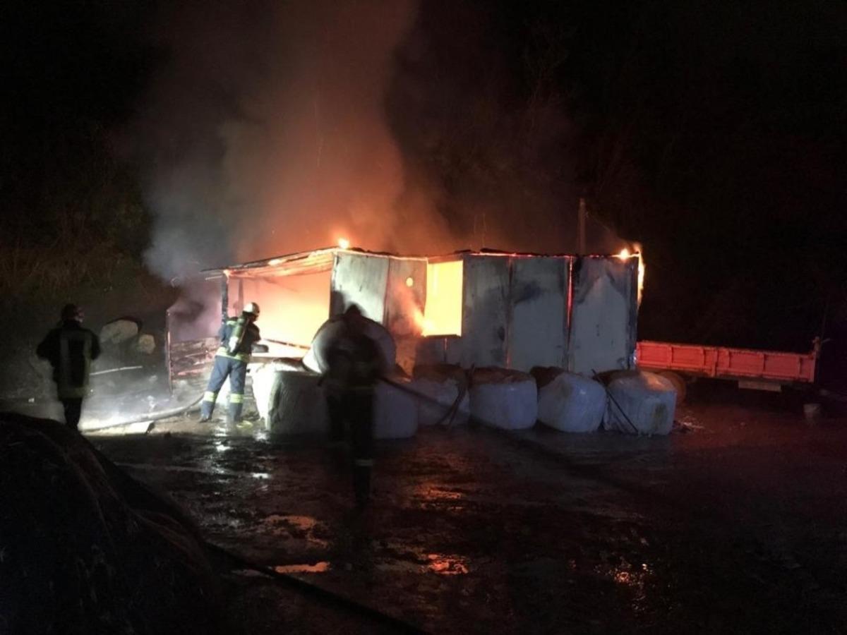 Hayvan &ccedil;iftliğindeki yangın korkuttu