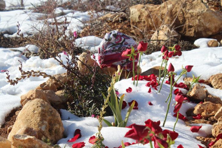 Boşanma aşamasındaki eşini 13 yerinde bıçaklayıp öldürdü, iyi hal indirimi aldı! Aile tepkili G5