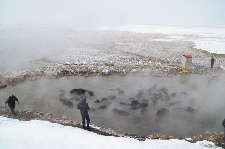 Mandaların eksi 10 derecede kaplıca sefası G2