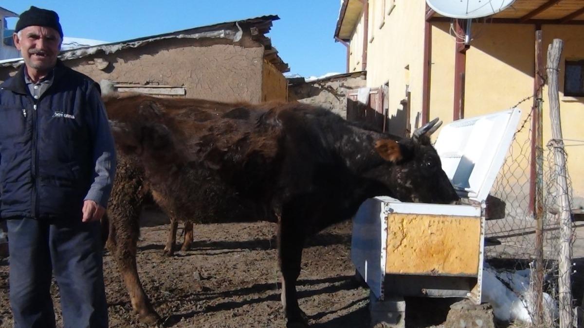 Buzdolabını ısıtma kutusu yaptı