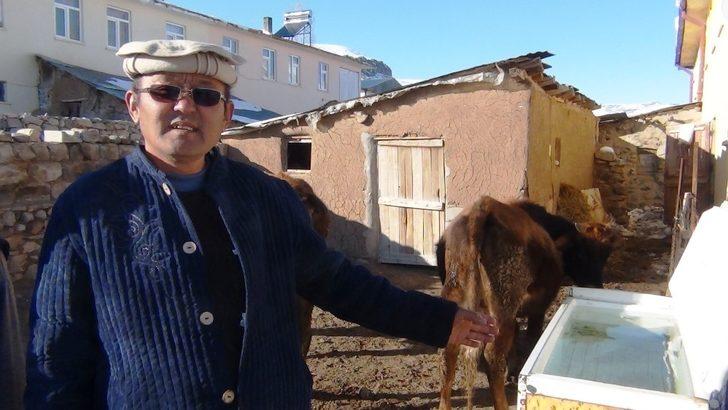 Buzdolabını ısıtma kutusu yaptı G3