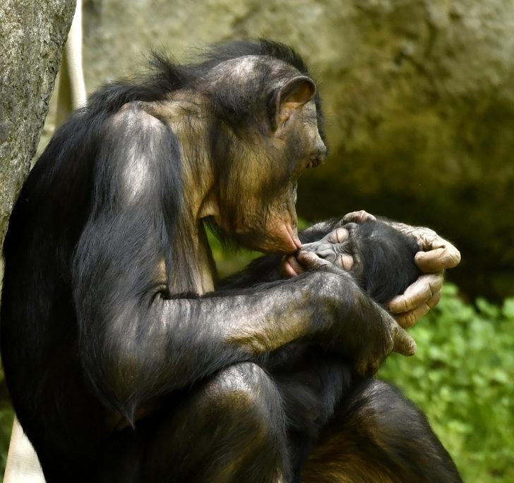 İnsan vücudunun şaşırtan gerçekleri! G4
