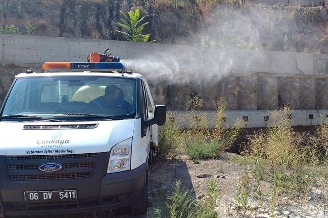 Çankaya Belediyesi 195 bin hektar alanı ilaçladı