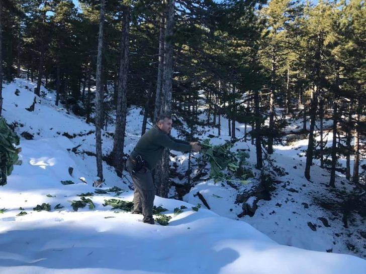 Nazilli’de av hayvanlarına yem bırakıldı G1