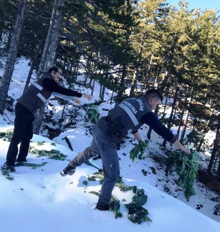 Nazilli’de av hayvanlarına yem bırakıldı G4