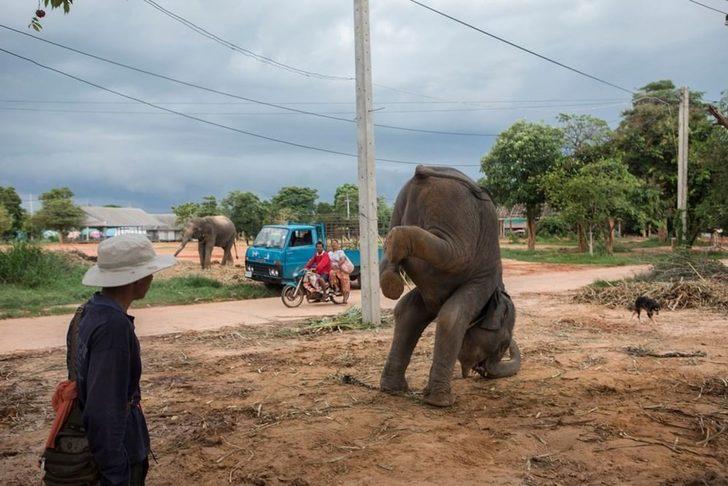National Geographic'ten sürpriz İstanbul paylaşımı G4