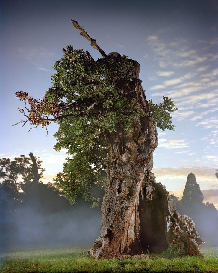 National Geographic'ten sürpriz İstanbul paylaşımı G5