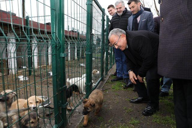 Ünye’ye Büyükşehir damgası